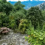 Cherry Guest House