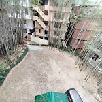 Bamboo Grove