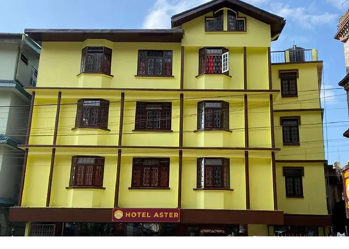 Hotel Aster