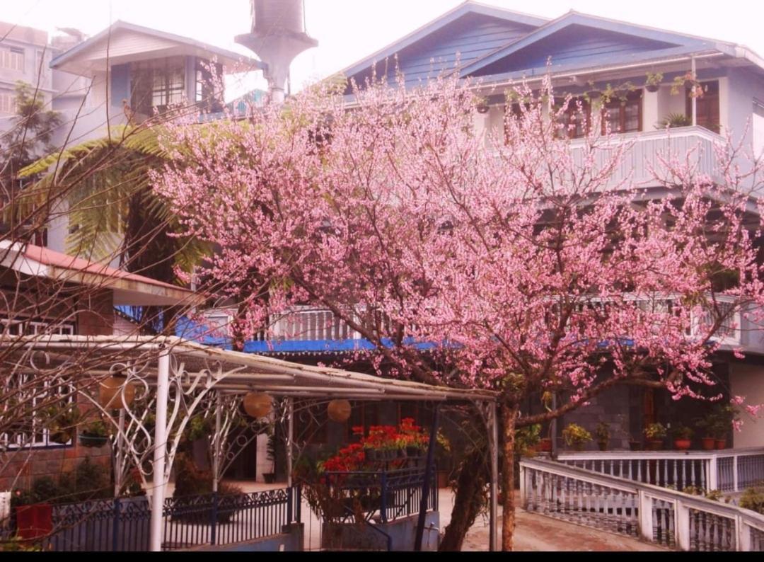 Cherry Guest House Guest house *