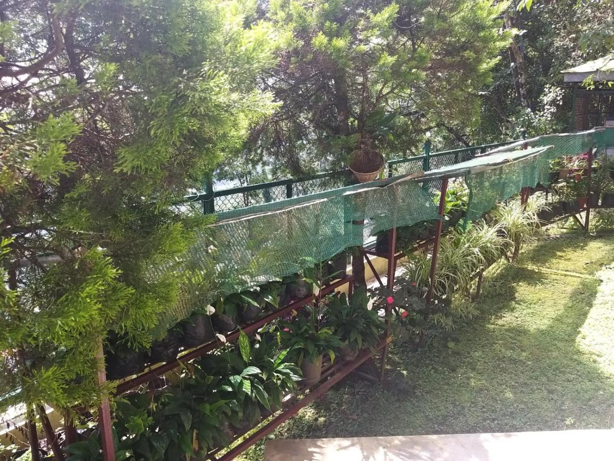 Hotel Rumtek Dzong Gangtok