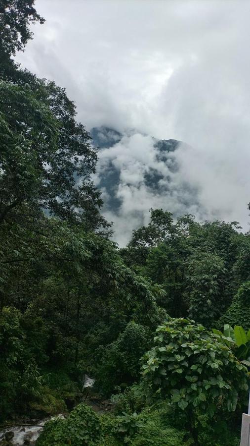 Mountain Bliss Gangtok