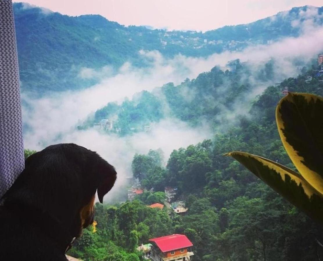 House Of Nomad Hostel Gangtok