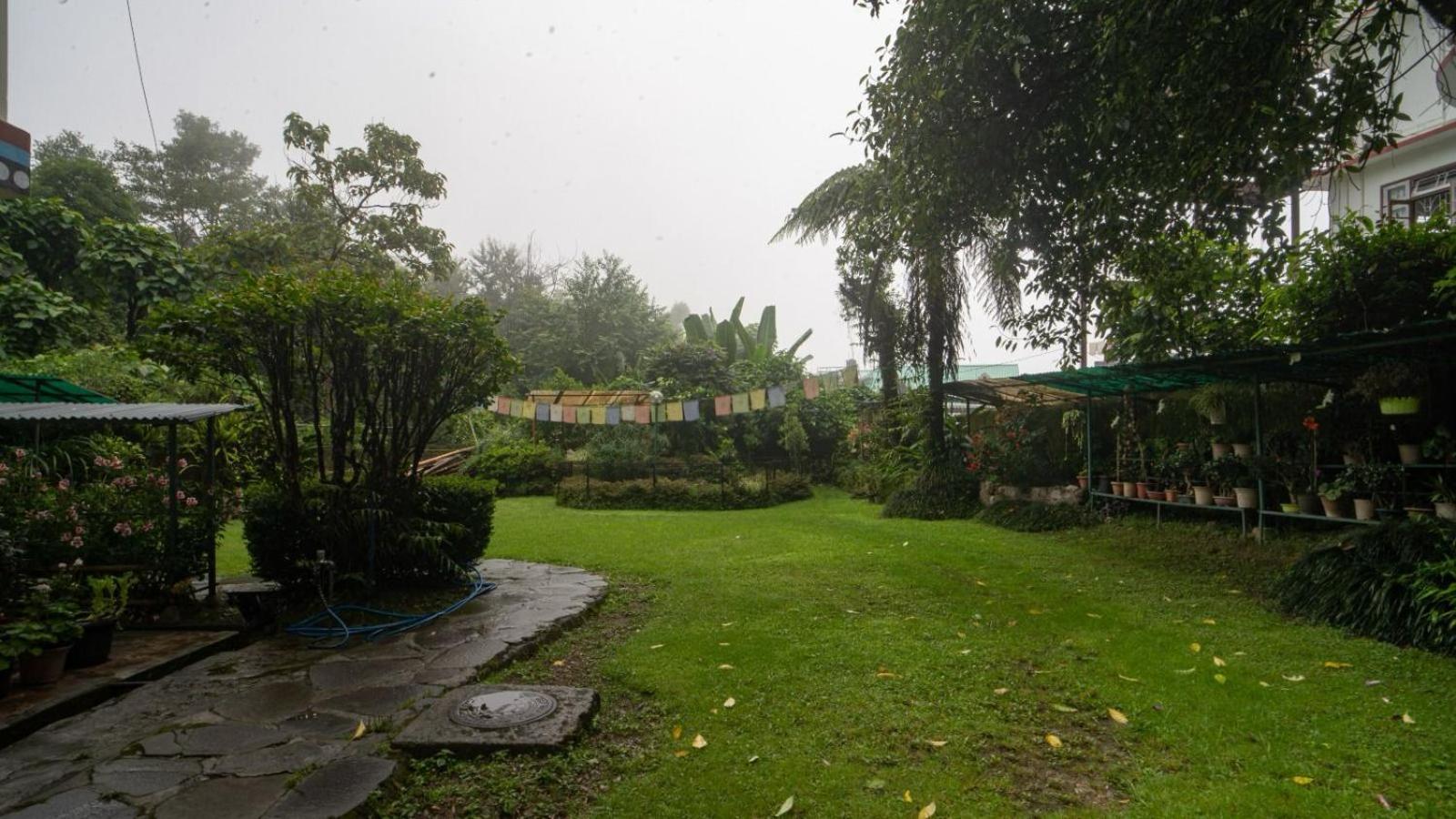 Guest house Mintokling *