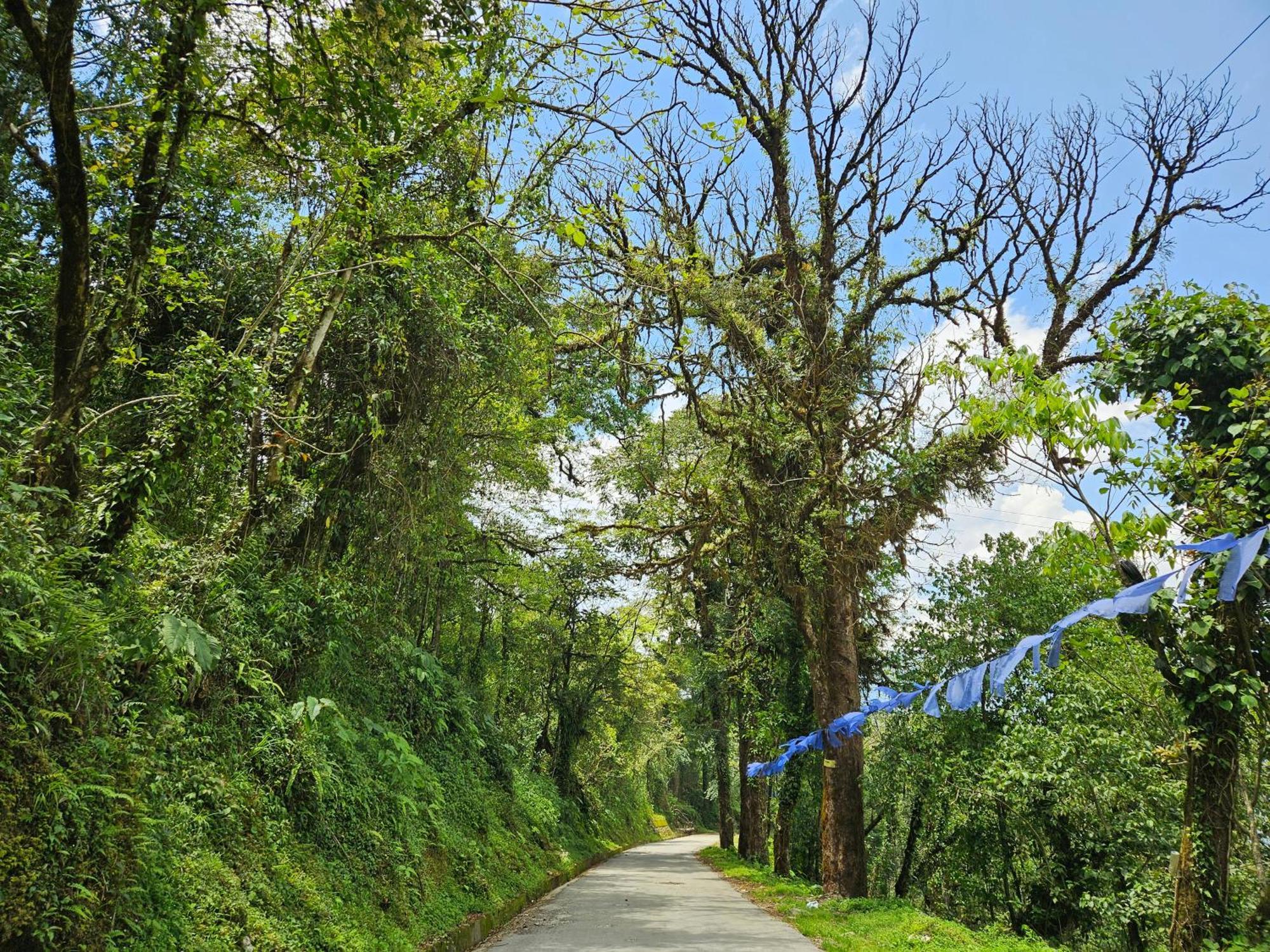 The Bliss Homestay *