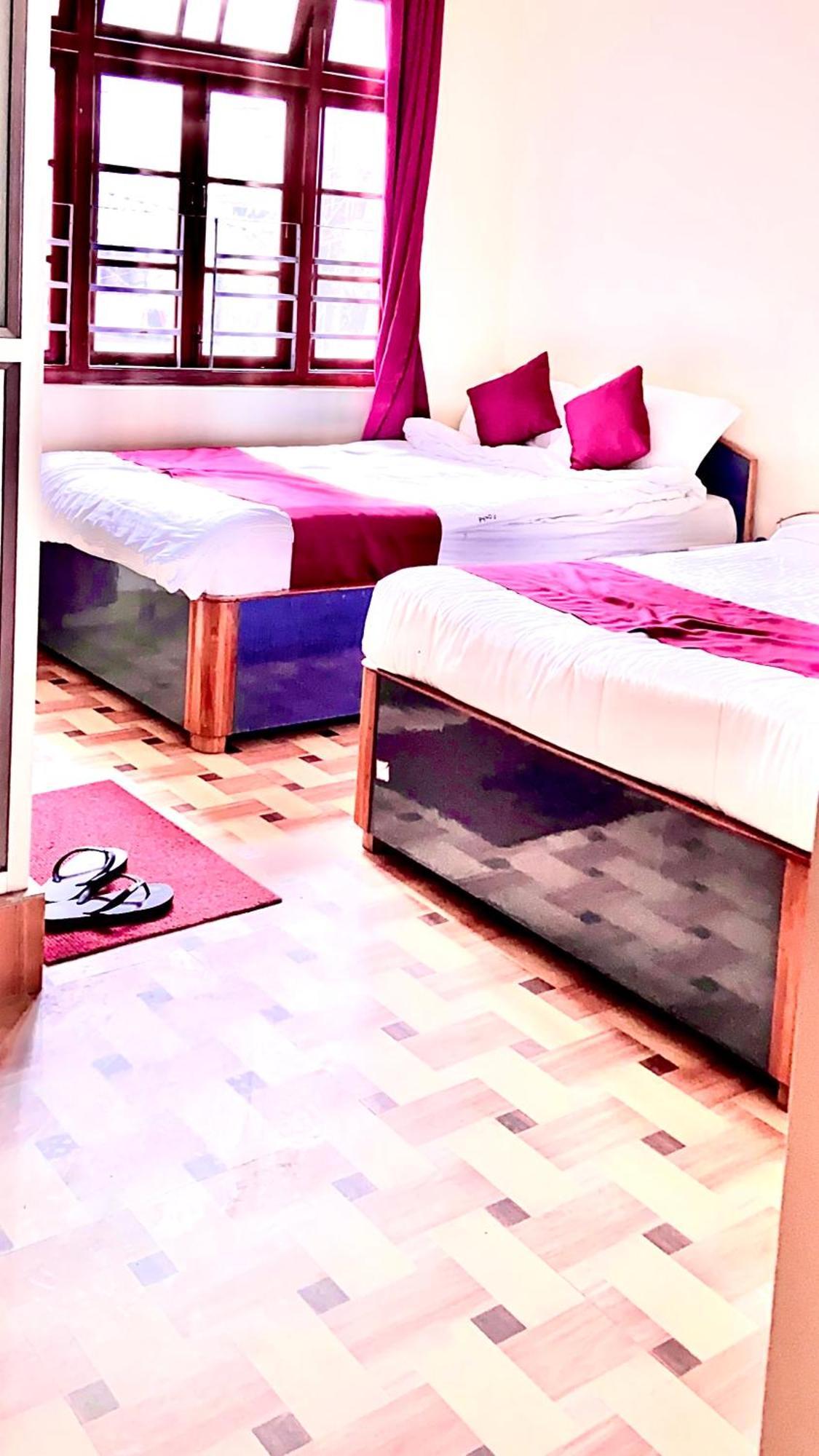 Pink Orchid Gangtok
