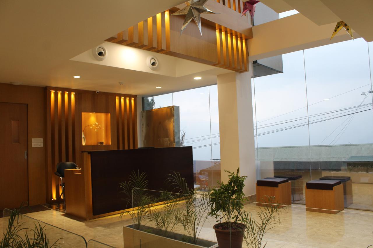 Allison Dechen & Palmo Hotel