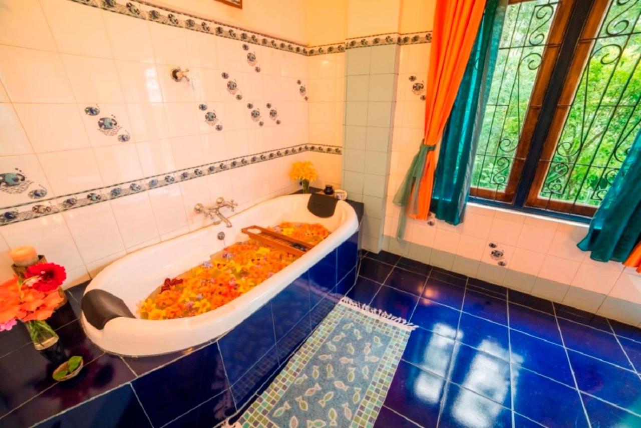 Hotel Bamboo Retreat