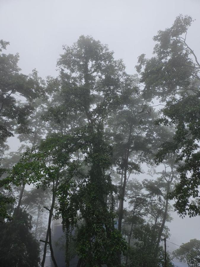 Shanol Residency Gangtok