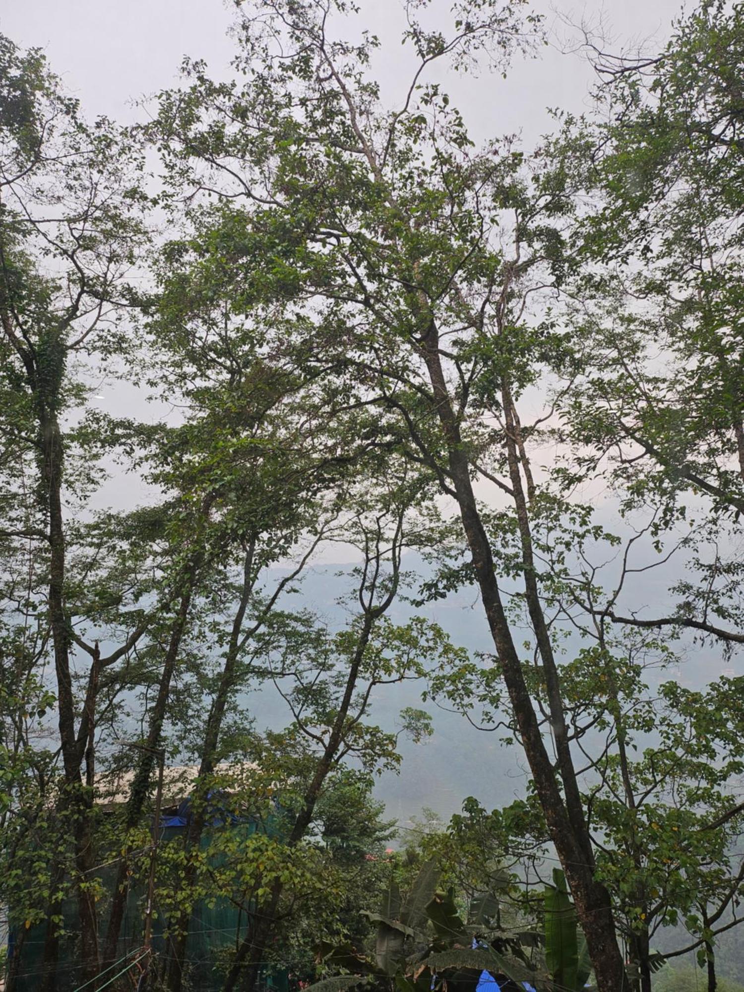 Shanol Residency * Gangtok