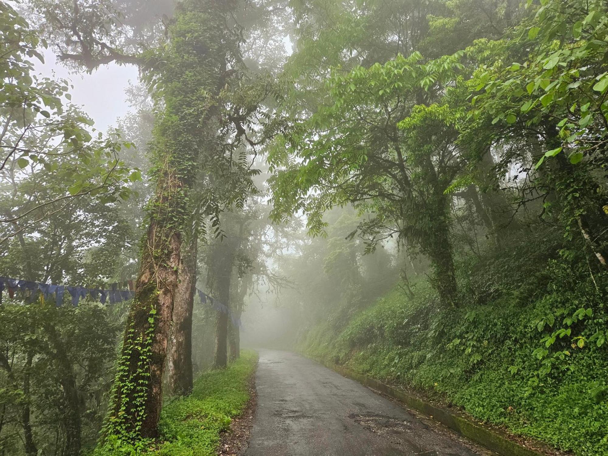 Homestay The Bliss Gangtok