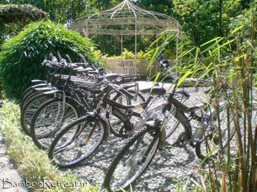 Bamboo Retreat 3*