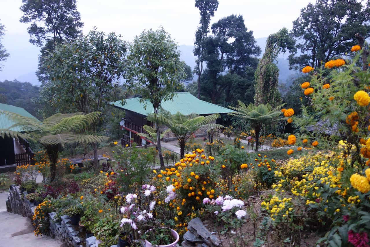 The Barfung Retreat