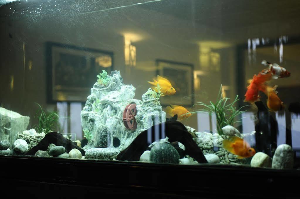 Hotel Denzong Regency- Luxury Mountain Retreat & Casino 4*
